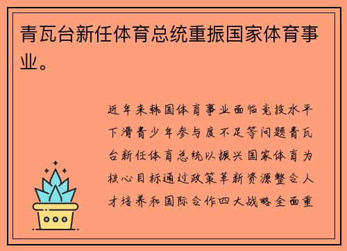 青瓦台新任体育总统重振国家体育事业。